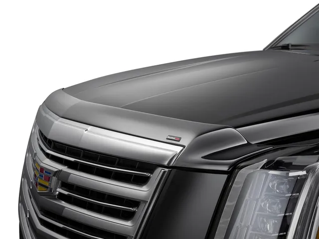 weathertech-hood-protector-low-profile-hood-shield-for-chevrolet-silverado-1500- image 1
