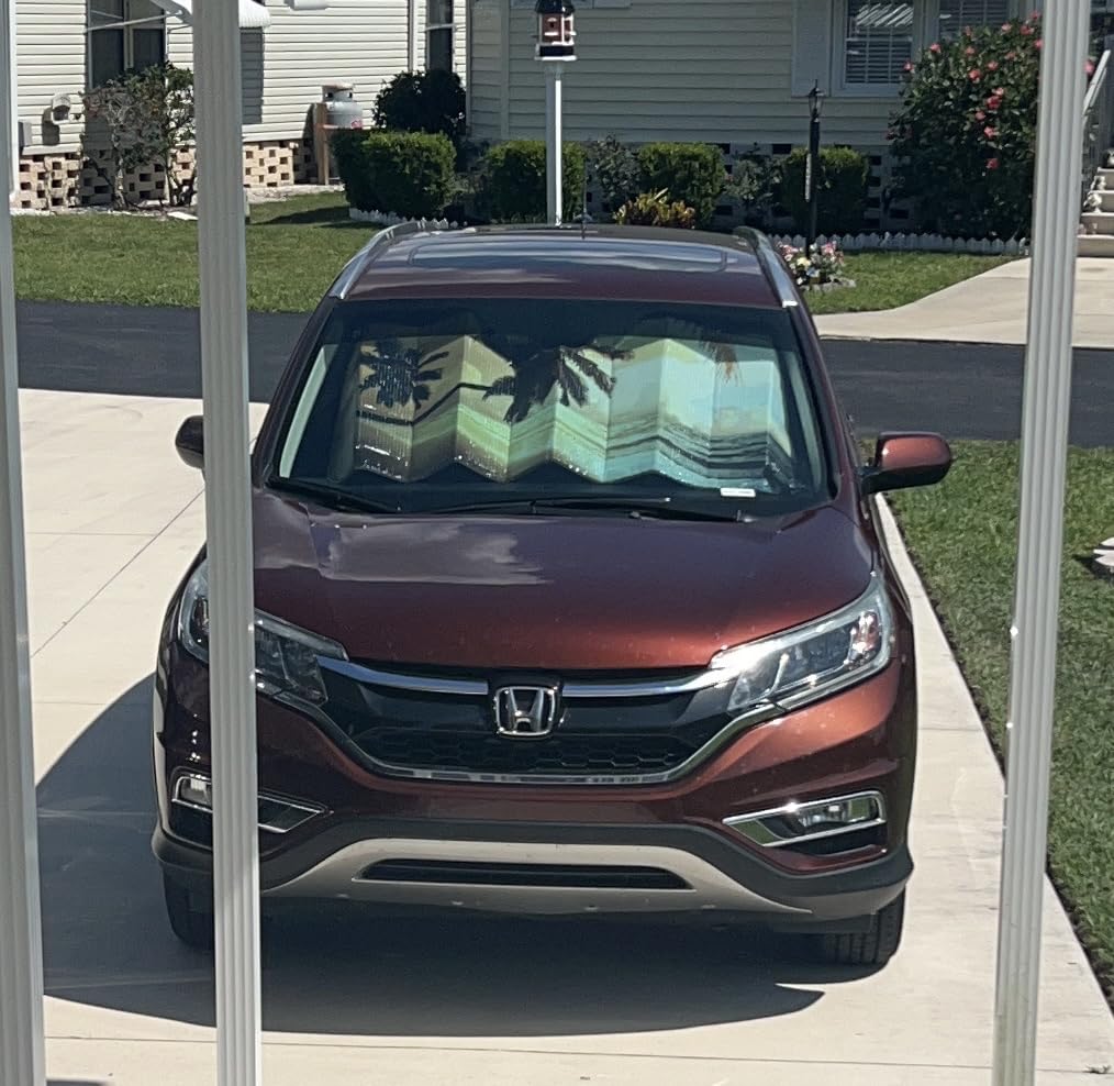 Great sun shade