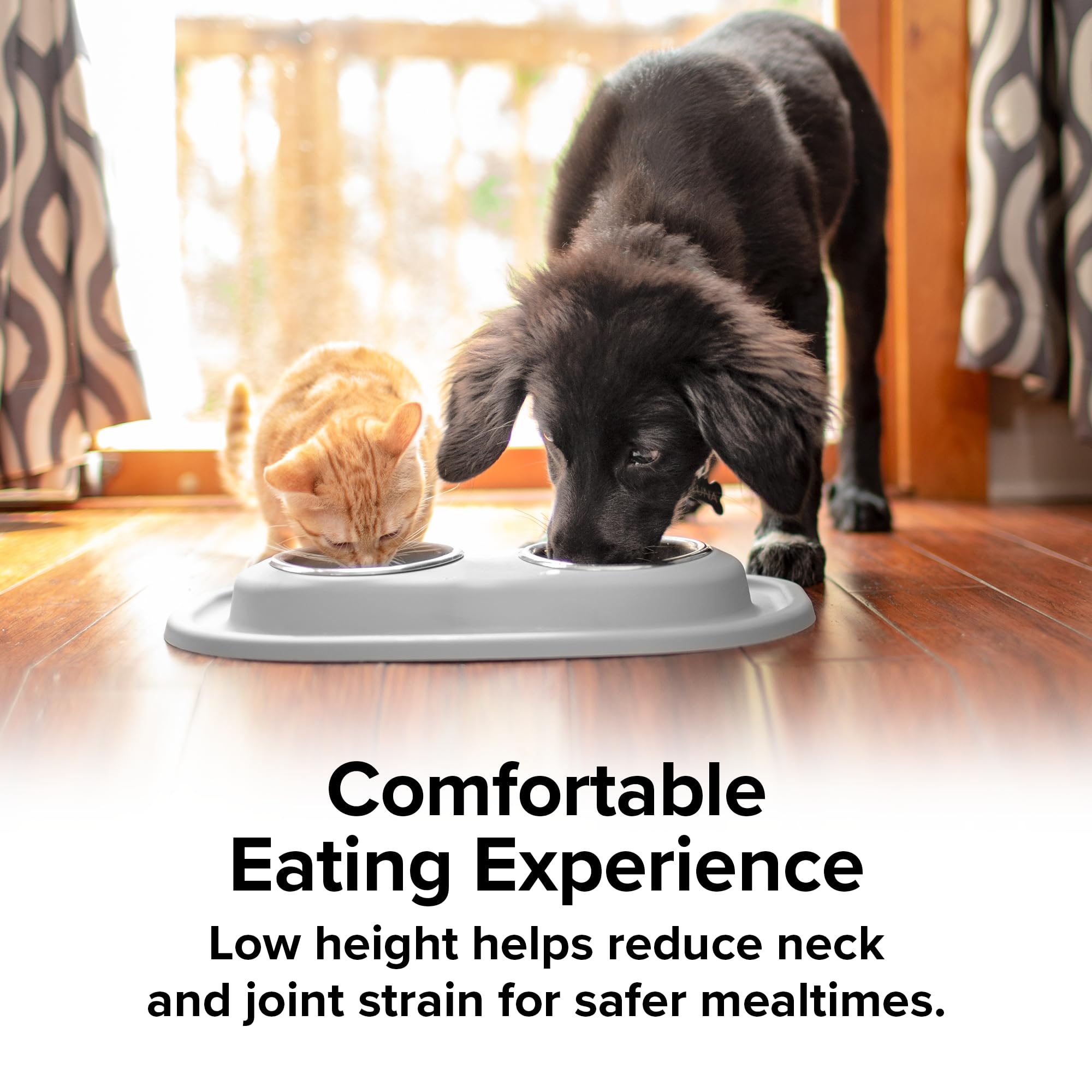 weathertech-double-low-pet-feeding-system-with-plastic-dog-cat-bowls-8-oz-1-cup- image 8