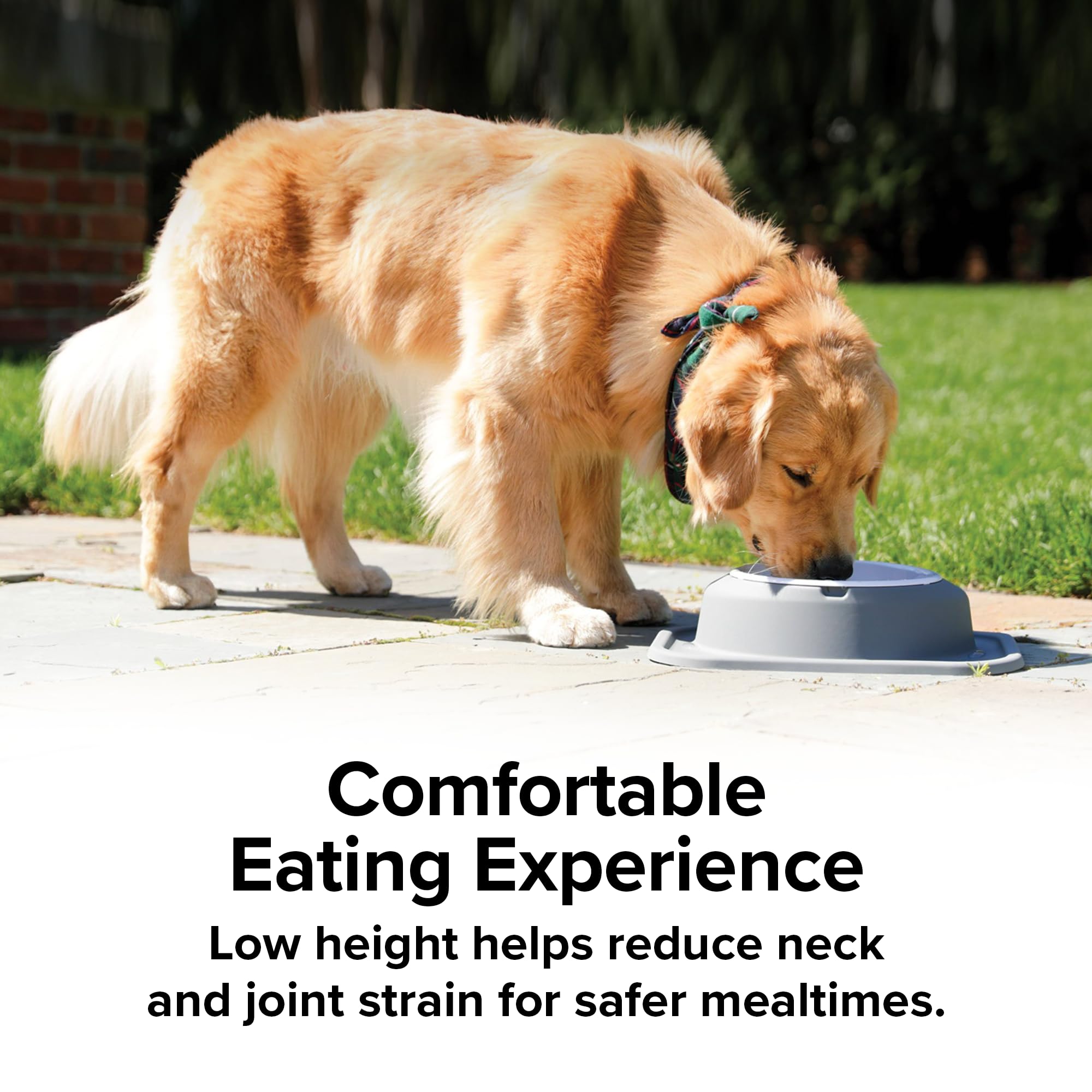 weathertech-single-low-pet-feeding-system-with-plastic-bowl-8-oz-dark-grey-psl08 image 7