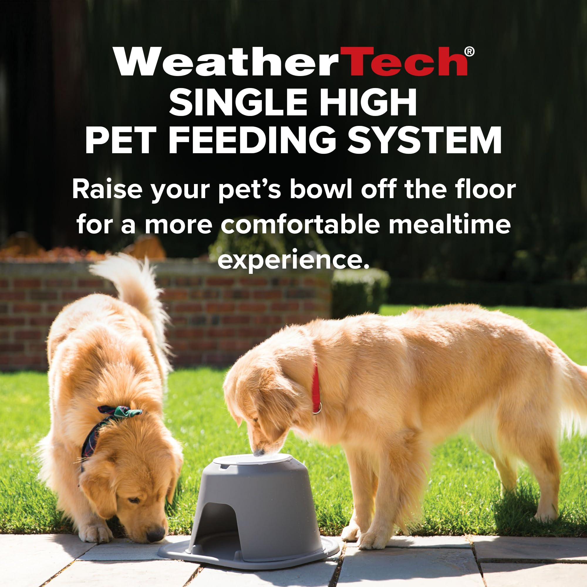weathertech-single-high-pet-feeding-system-with-plastic-bowl-dark-grey-3-stand image 3