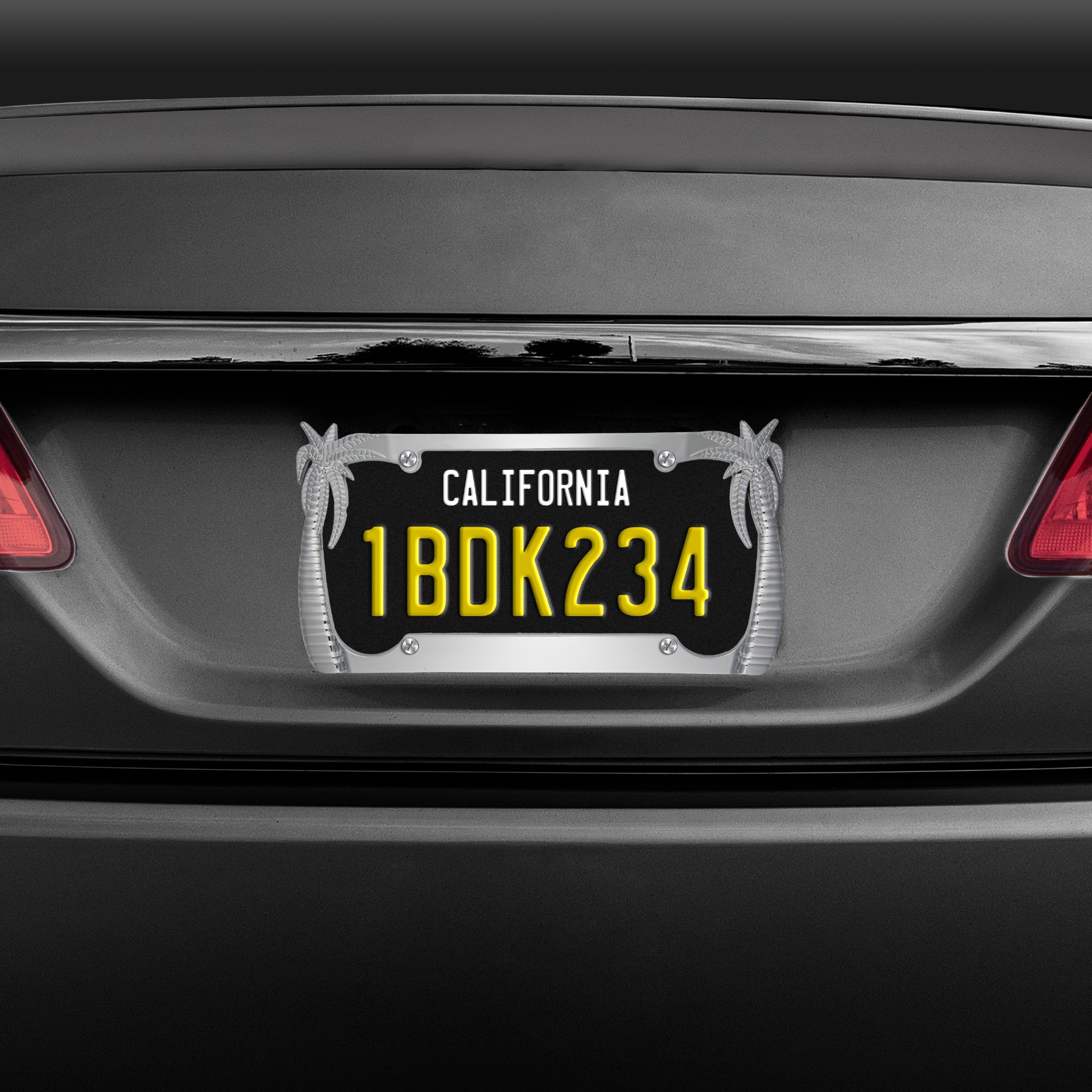 bdk-heavy-duty-rust-proof-stainless-steel-chrome-license-plate-frame-tropical-pa image 6