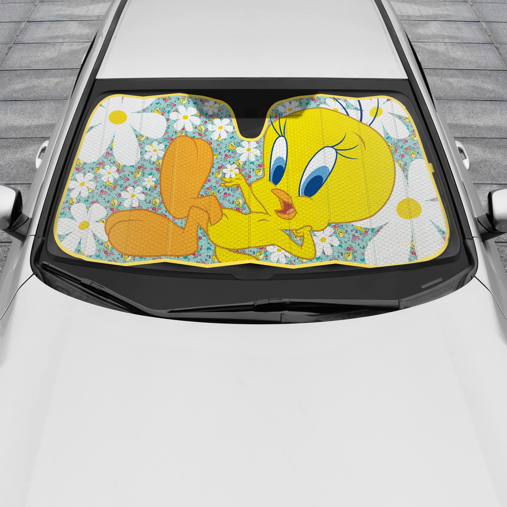 bdk-warner-bros-looney-tunes-tweety-bird-sun-shade-floor-mat-set image 4