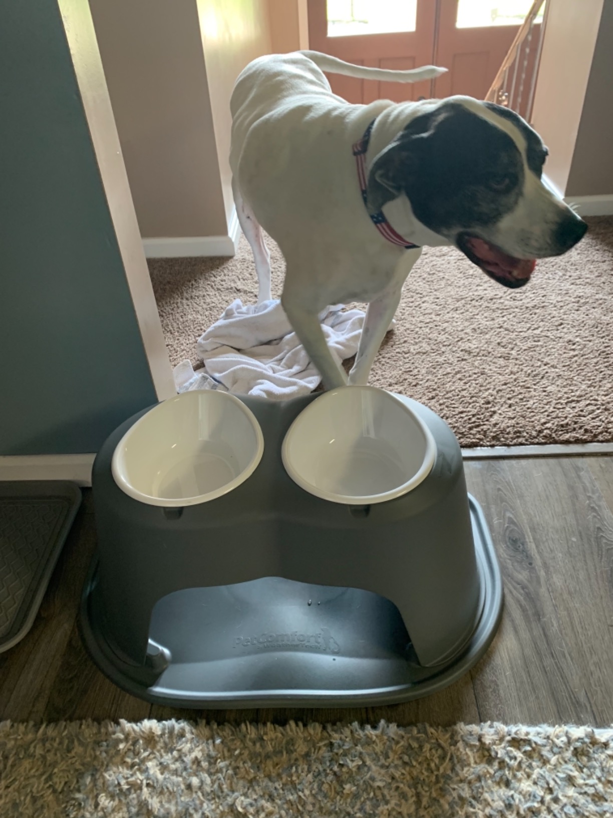 Not for large breeds
