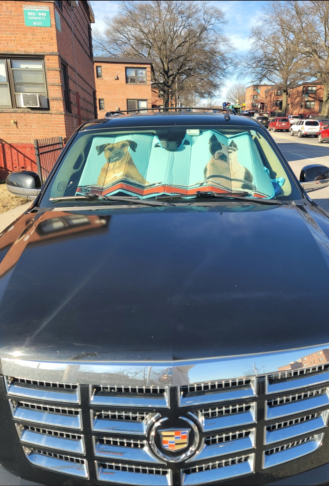 Best sunshade I've owned